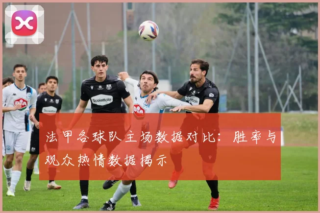 法甲各球队主场数据对比：胜率与观众热情数据揭示