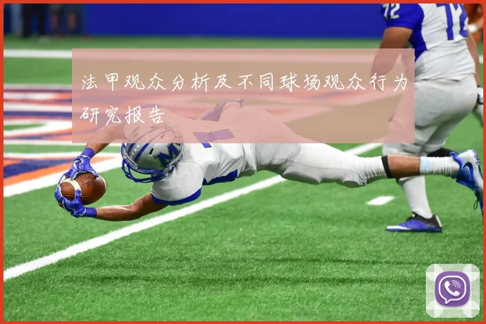 法甲观众分析及不同球场观众行为研究报告