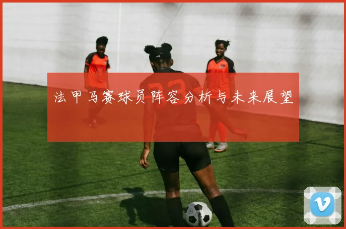 法甲马赛球员阵容分析与未来展望