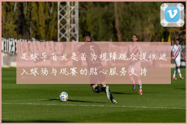 足球导盲犬是否为视障观众提供进入球场与观赛的贴心服务支持