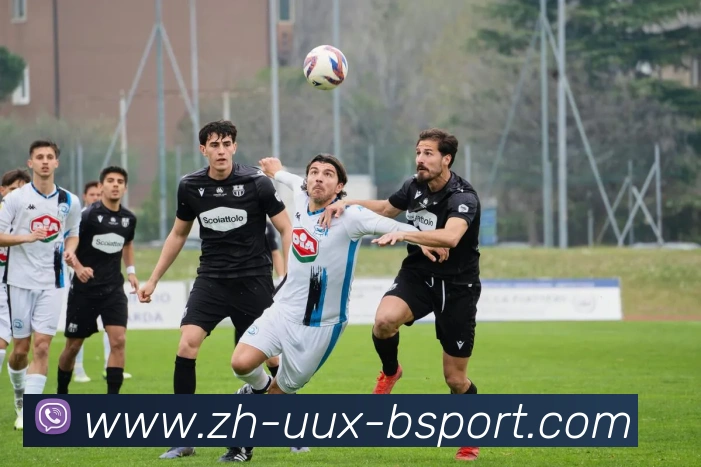 B体育官方网站平台生态图