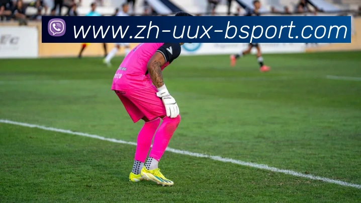 B体育APP 封面图